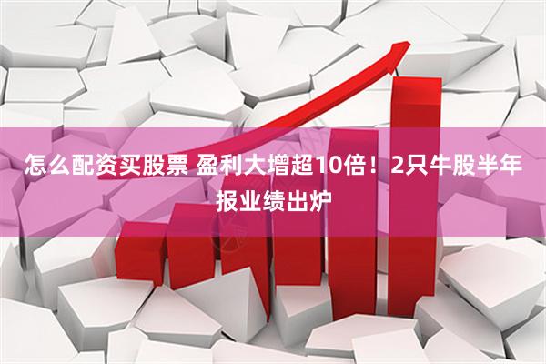 怎么配资买股票 盈利大增超10倍！2只牛股半年报业绩出炉